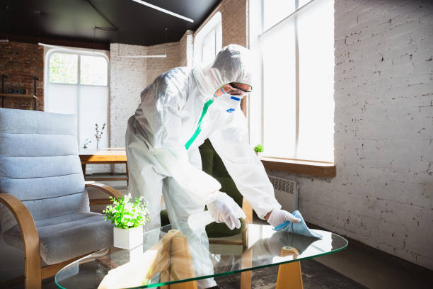 Mansfield, MO Mold Removal & Remediation Company